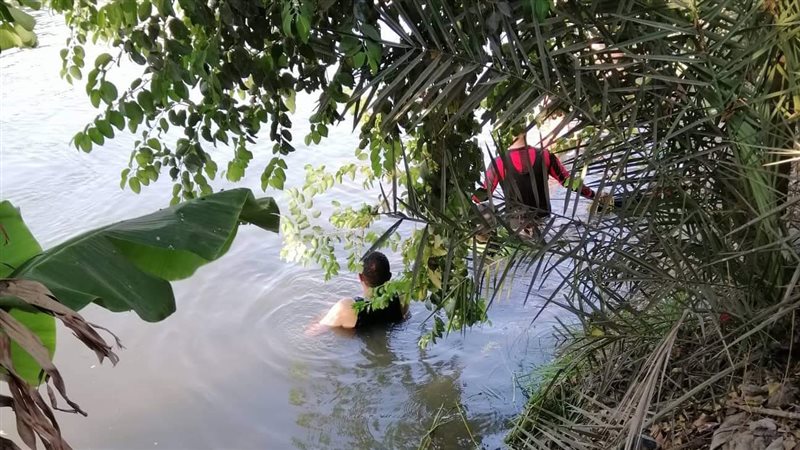أرشيفية