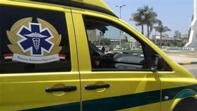 عرض شقيق صاحبة سنتر متهم بالتحرش بطفلة على مستشفى الأمراض النفسية بالجيزة 