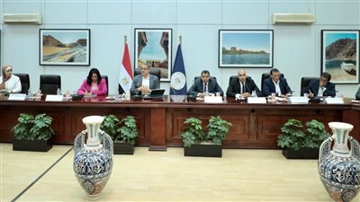 وزير الطيران يكشف موعد انطلاق رحلات 