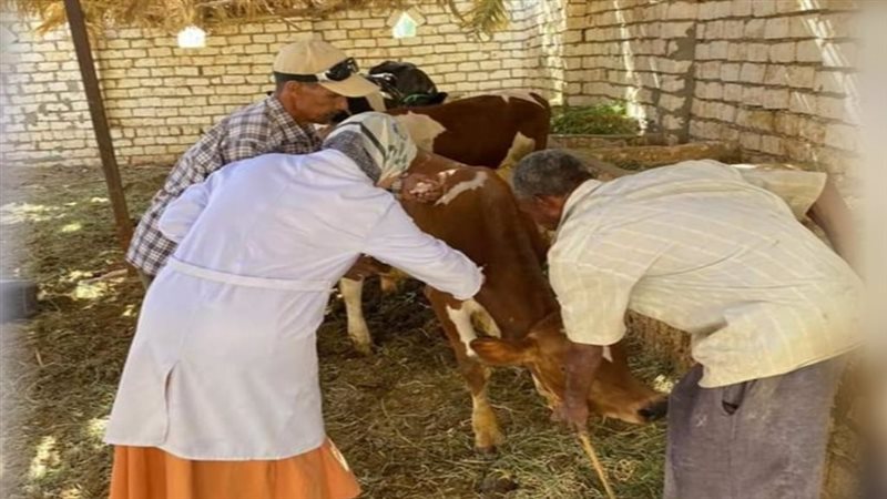 انطلاق لجان التحصينات