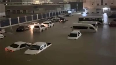 برق وفيضان وأمطار.. منخفض السيل الخصيب يضرب دول الخليج | فيديو