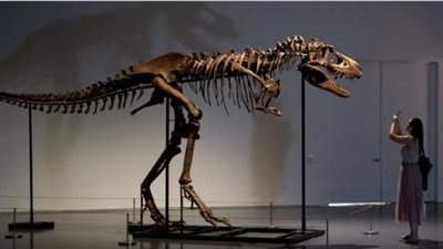 بيع هيكل عظمي لديناصور مرعب بـ 6 ملايين دولار