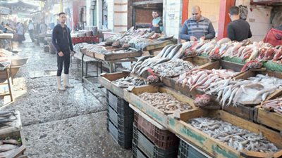 الجيزة تنشر فيديو يرصد أعمال إنشاء سوق السمك الحضاري الجديد