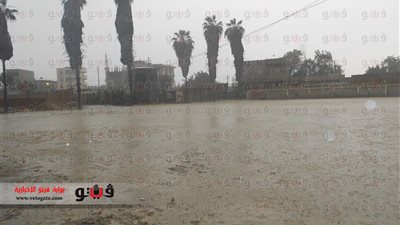 بالصورة.. «السيول» تجبر مواطني الشرقية على التزام منازلهم