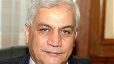 وزير الزراعة: 25 صومعة جديدة لتخزين مليون طن قمح إضافى