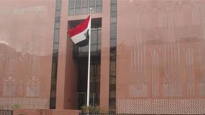 سفير مصر ببرلين يحث المصريين في الخارج على الإدلاء بأصواتهم