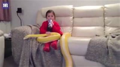 طفلة تحتضن ثعبانا (فيديو وصور)