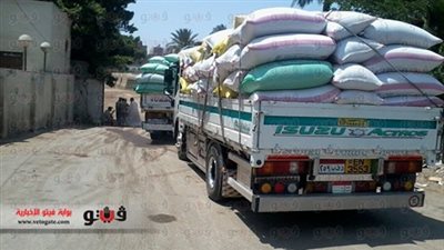 استمرار أعمال توريد القمح لليوم العاشر علي التوالي بالقليوبية