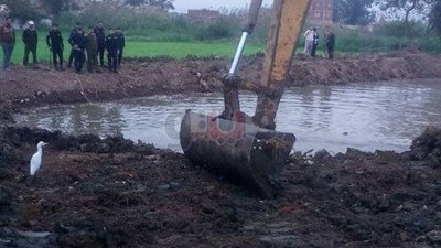 إزالة مزرعة «قراميط» على أرض زراعية بدمياط (صور)