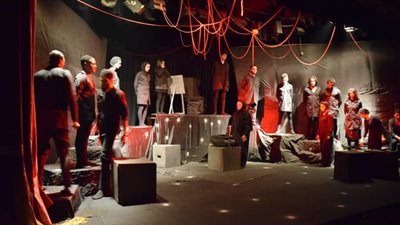 «الأسود يربح دائما» في زراعة القاهرة