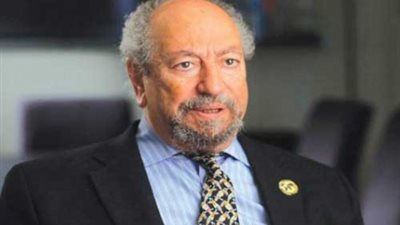 دفاع فايد: سعد الدين والطحاوي طالبا أمريكا بالضغط على مصر