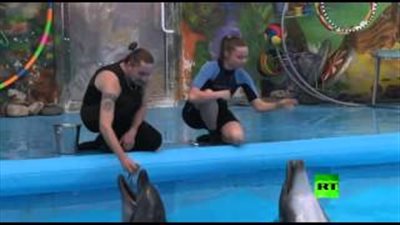 بالفيديو.. سلام ينضم إلى أسرة الحيتان في حوض الدلافين في دونيتسك الأوكرانية