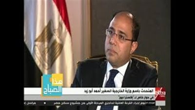 «الخارجية»: مصر تعبر عن موقفها حول القضية الفلسطينية بوضوح