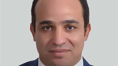 نائب ببولاق: قانون الخدمة المدنية «عنصري»