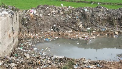 بالصور.. أهالي 