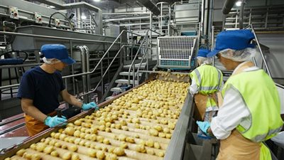 أهم الدول المستوردة للصناعات الغذائية المصرية خلال 11 شهرا