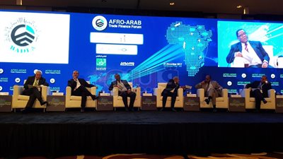 خالد حنفي: وضع الحكومات سياسات تحقيق التنمية المستدامة «ضرورة»