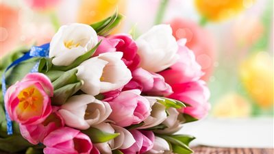 الزهور تجمع بين المحبين وتشيع بينهم البهجة ‏والسعادة