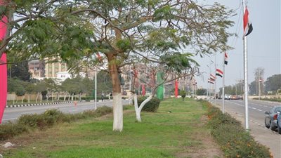 الإسماعيلية تتزين لاستقبال الرئيس السيسي (صور)