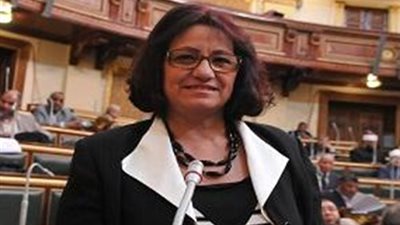 نادية هنري تتقدم بطلب إحاطة للحكومة بشأن صفقات القمح الفاسد