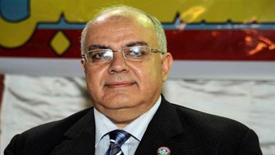 دراج: الإقبال كبير على التصويت.. والقضاة لم يمنعوا الأقباط من التصويت