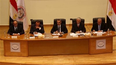 ننشر نص قرار تشكيل اللجان المشرفة على الانتخابات في الخارج