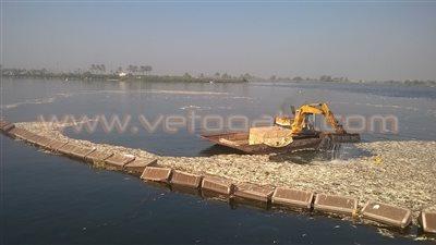 بالصور.. البيئة تكشف 5 أسباب وراء نفوق الأطنان من الأسماك بكفر الشيخ