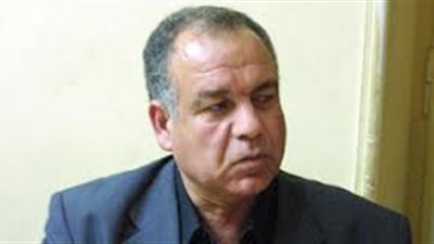 بهاء الدين شعبان: سيناريوهات المستقبل متوقفة على نتيجة الدستور