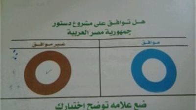 منتقبة تتهم الناخبات بالعمالة لـ
