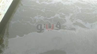 قنا تتخذ التدابير لمواجهة بقعة زيت الأقصر كإجراء احترازي