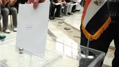 180 ألفًا صوّتوا على مشروع الدستور بالخارج