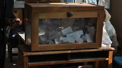 ناشط حقوقى يطالب بإعادة فرز نتائج الاستفتاء