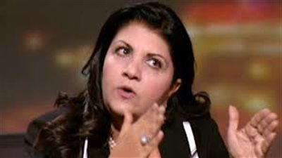 قلينى: ممارسة الإسلاميين للعنف دليل على رفض الدستور