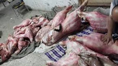 ضبط نصف طن لحوم 