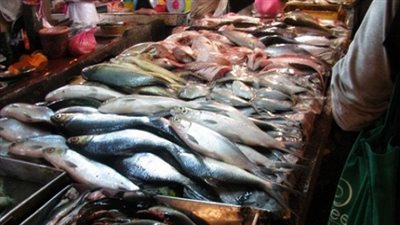 استقرار أسعار الأسماك واللحوم في الأسواق