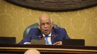 عبدالعال ردا على رفض نواب للقروض: «كل الدول بتقترض»