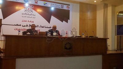 غرفة البترول: الملح ثروة قومية لم تستغل بالشكل الأمثل