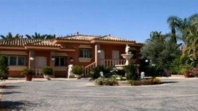 بالصور.. صديق لـ 