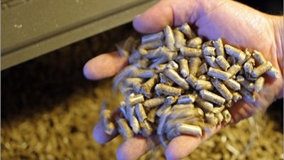 الشرقية تسجل أدنى سعر لطن 