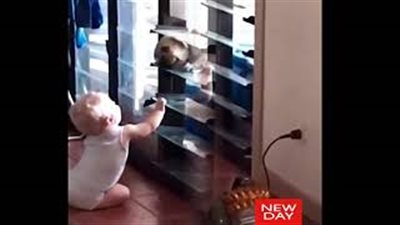 شاهد ماذا فعل طفل لإدخال كلبه المنزل (فيديو وصور)