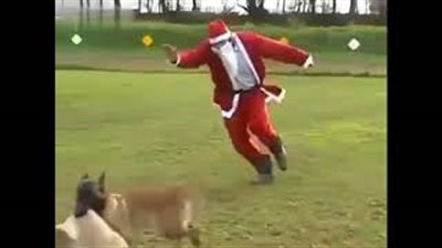 سانتا كلوز يطارد كلبا سرق هداياه (فيديو)