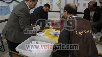 سفير مصر بعمان: 69,4 % نسبة الموافقة على الدستور