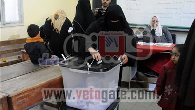 50 % من المصريين المسجلين في الدوحة شاركوا في الاستفتاء