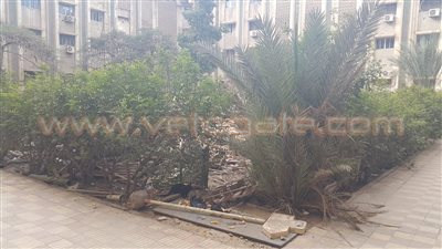 بالصور.. أرجل ومخلفات دواجن بحرم جامعة الأزهر في مدينة نصر