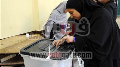 57.5 % من المصريين بالسودان قالوا «نعم للدستور»