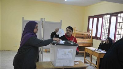 القوى السياسية بالغربية تعلن مشاركتها فى 