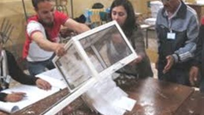 %56 من المصريين فى ألمانيا رفضوا الدستور