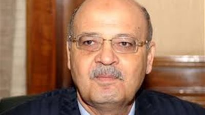 بلبع: تجهيز وحدات توليد كهرباء متنقلة خلال الاستفتاء