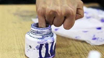 رئيس محكمة أسوان ينفى شائعات إلغاء نتائج الاستفتاء ببعض قرى المحافظة