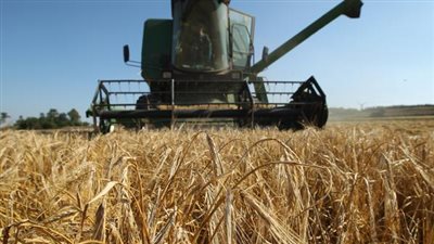 توريد 62 ألف طن قمح لشون قنا